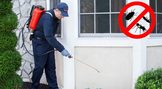 Cide Kene İlaçlama böcek ilaçlama ve haşere kontrolü — ilaclama-tr.com
